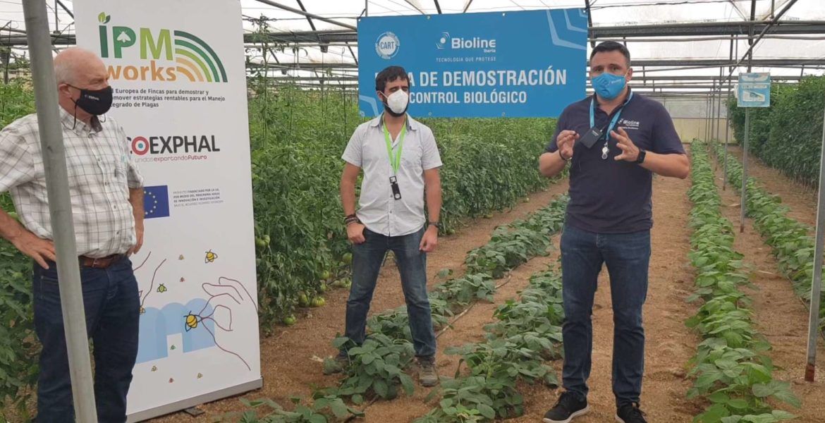 IPM Works