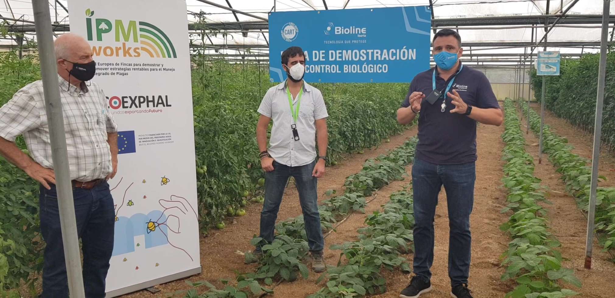IPM Works