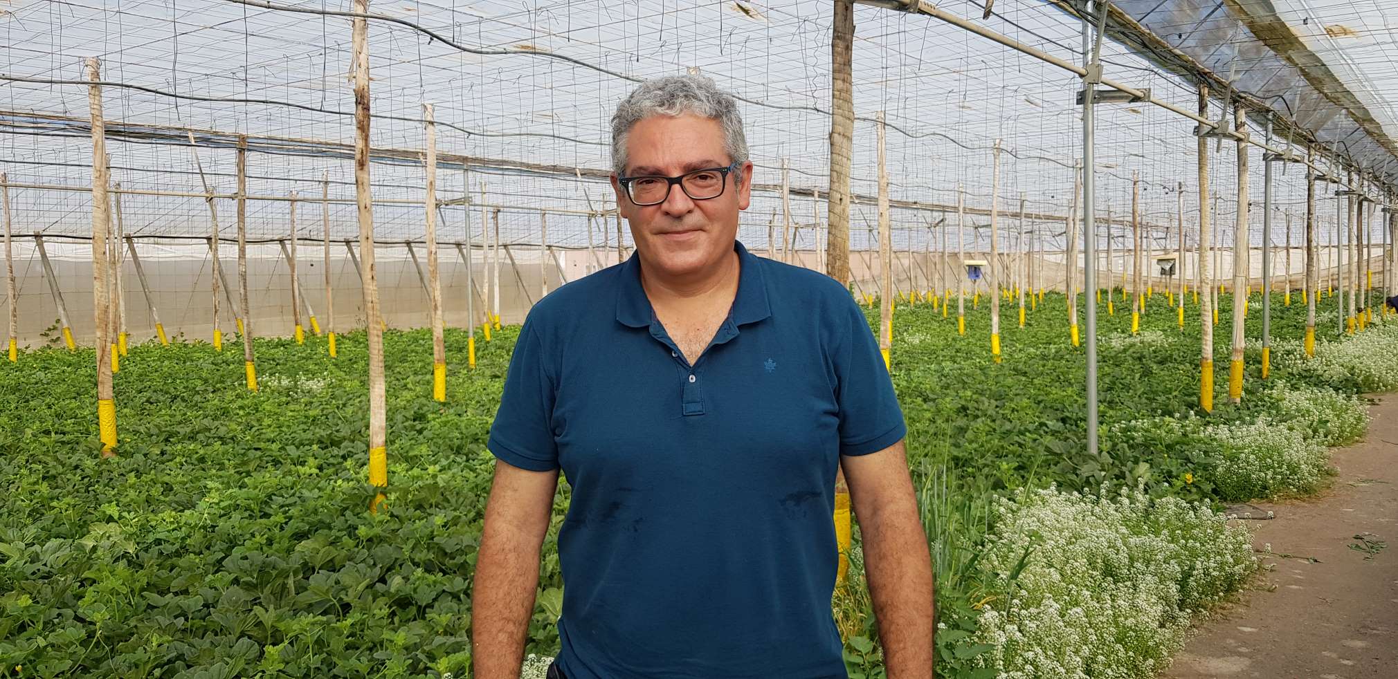 JUANJO GUZMAN TECNICO