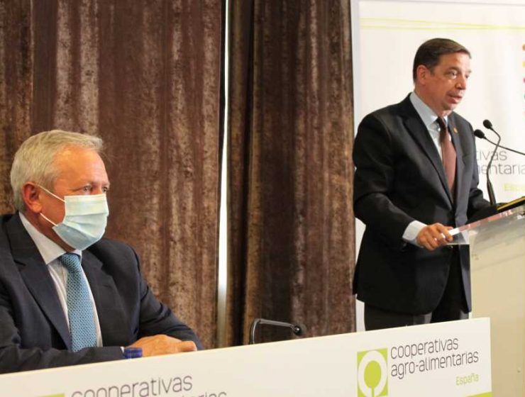 cooperativas ministro