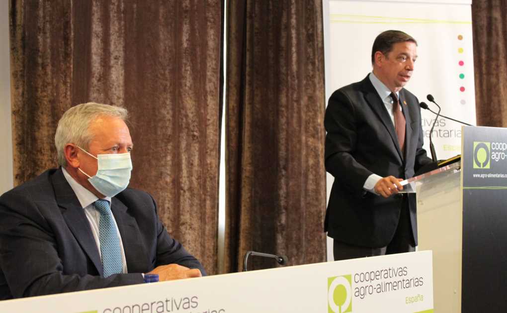 cooperativas ministro