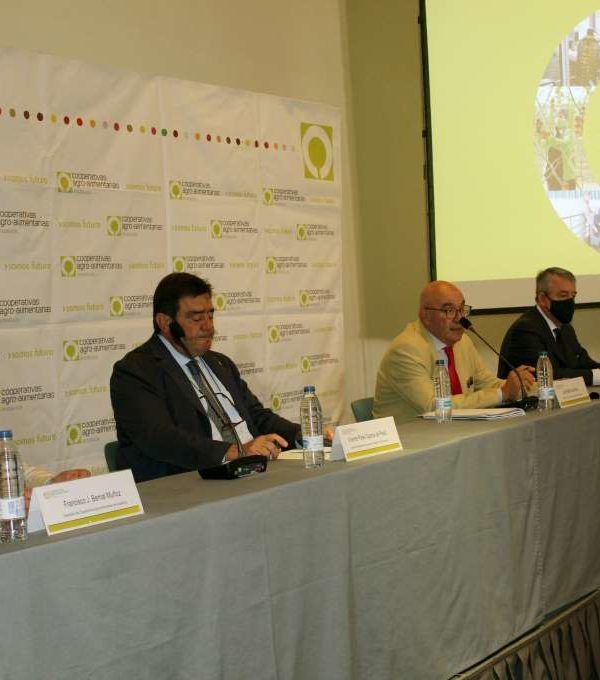 Cooperativas Agro-Alimentarias de Andalucía