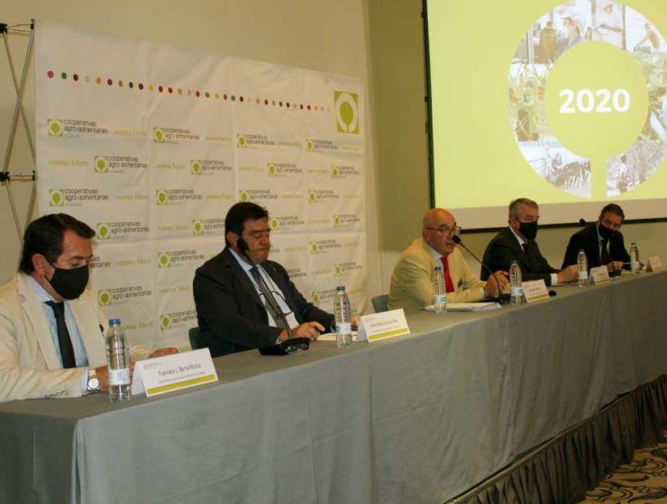 Cooperativas Agro-Alimentarias de Andalucía