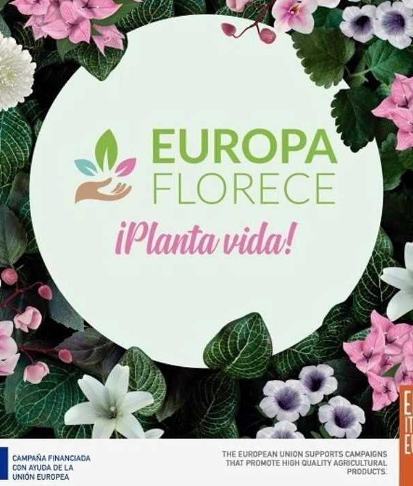 europa florece plantas