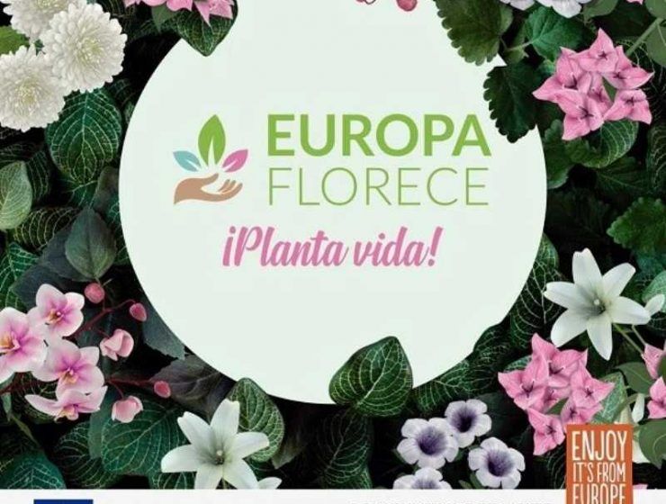 europa florece plantas