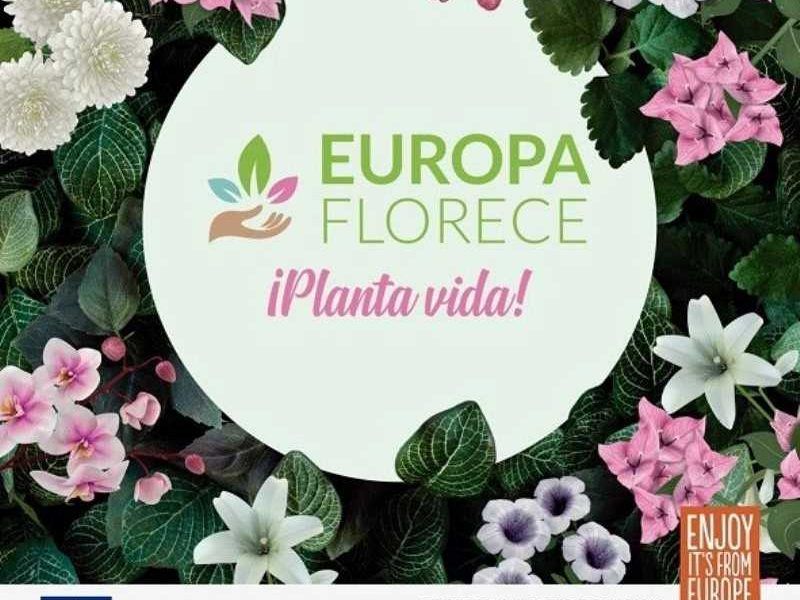 europa florece plantas
