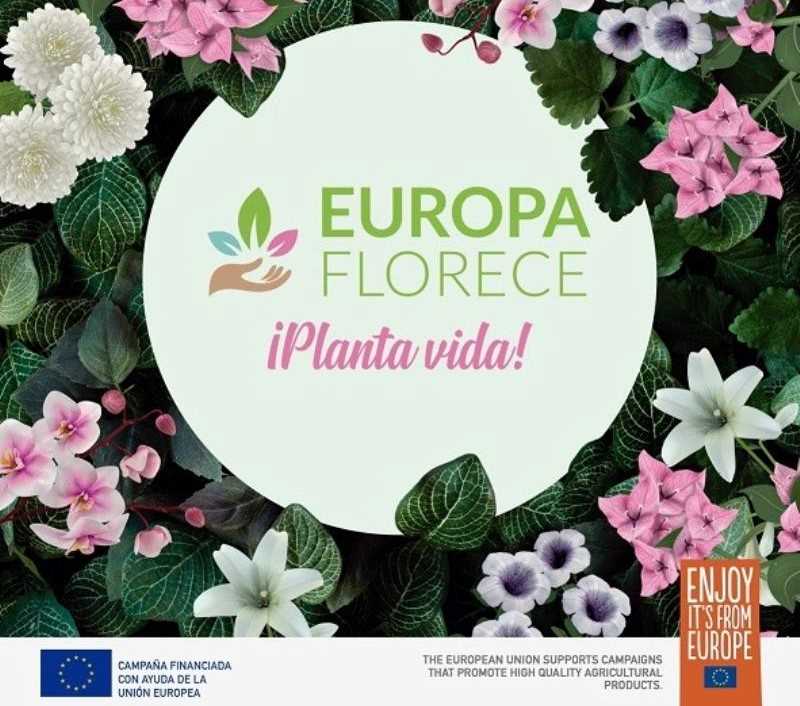 europa florece plantas