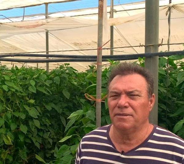 agricultor koppert