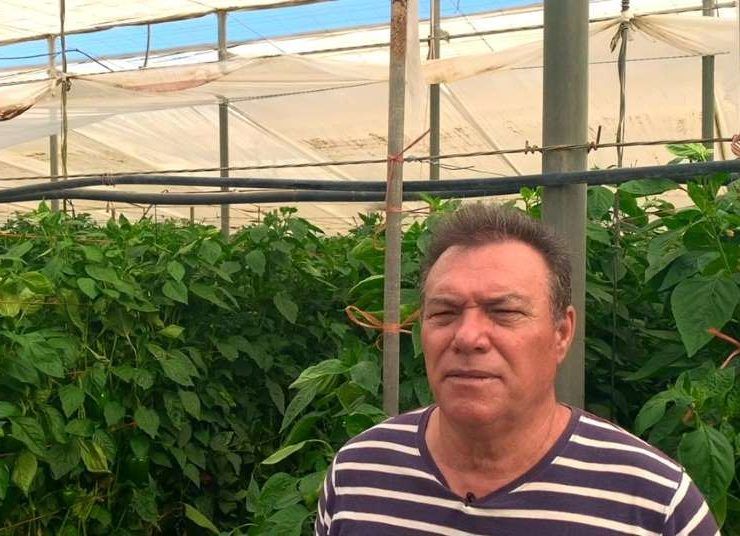 agricultor koppert
