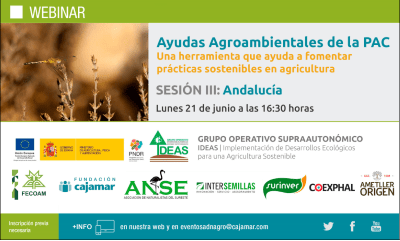 go ideas webinar