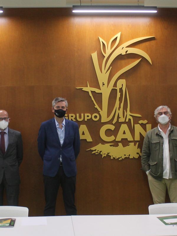 la caña