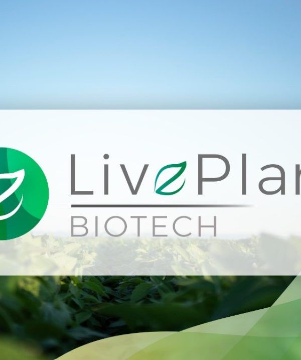live plant