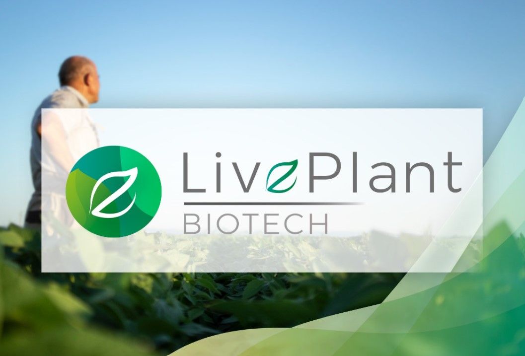 live plant