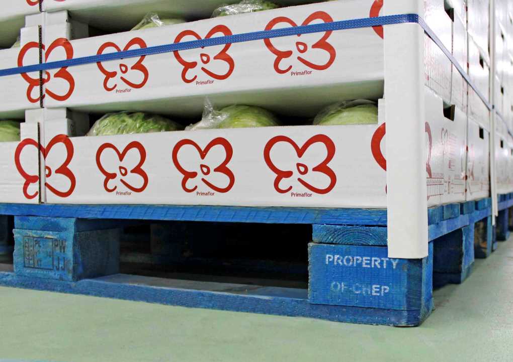pallets primaflor