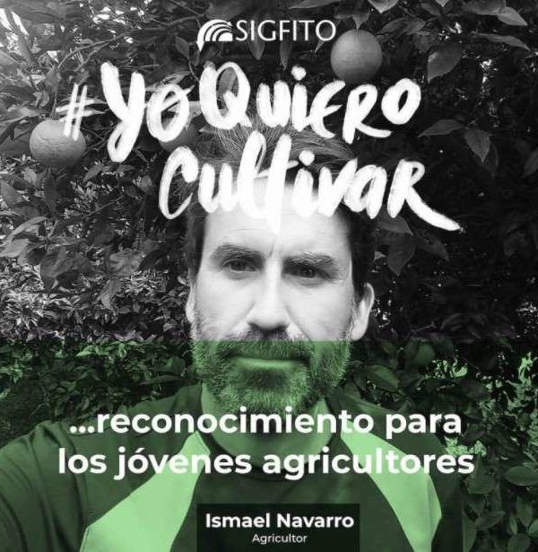sigfito