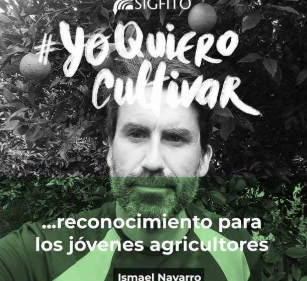 sigfito