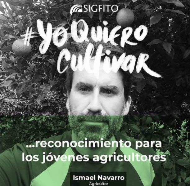 sigfito