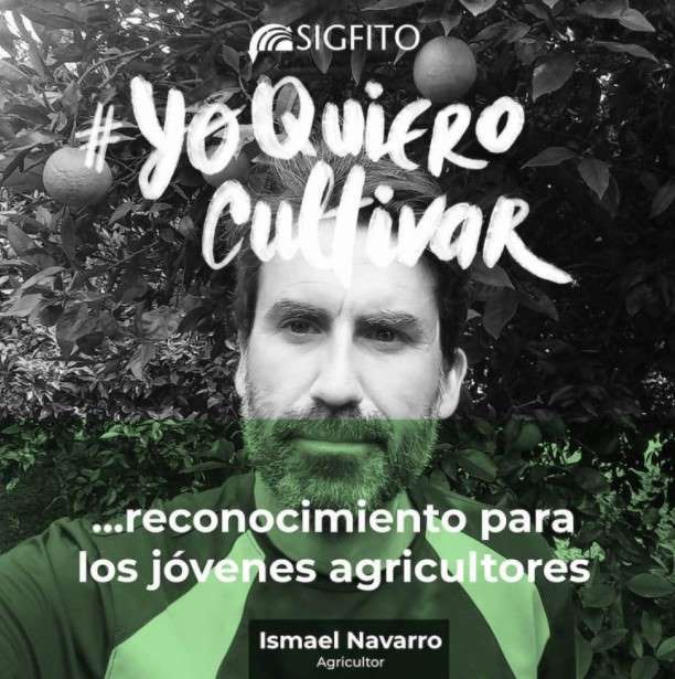 sigfito