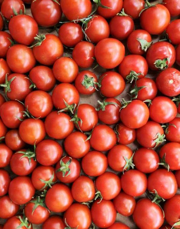 tomates