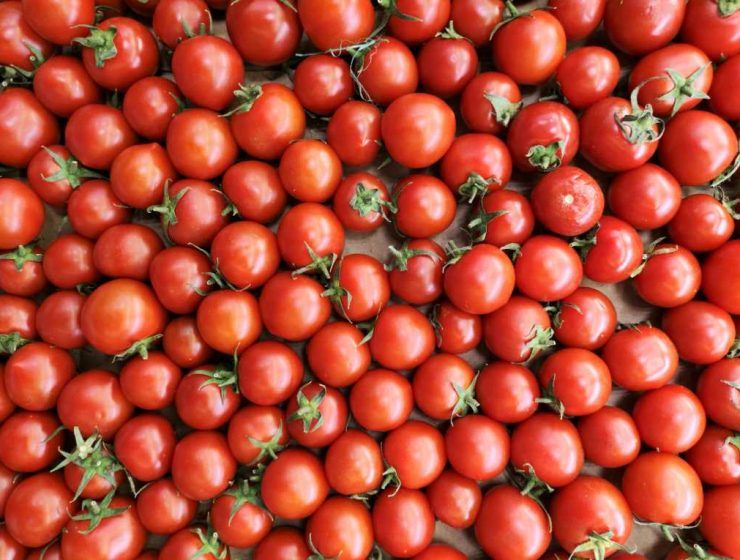 tomates