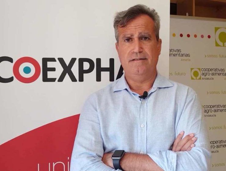 luis miguel fernández