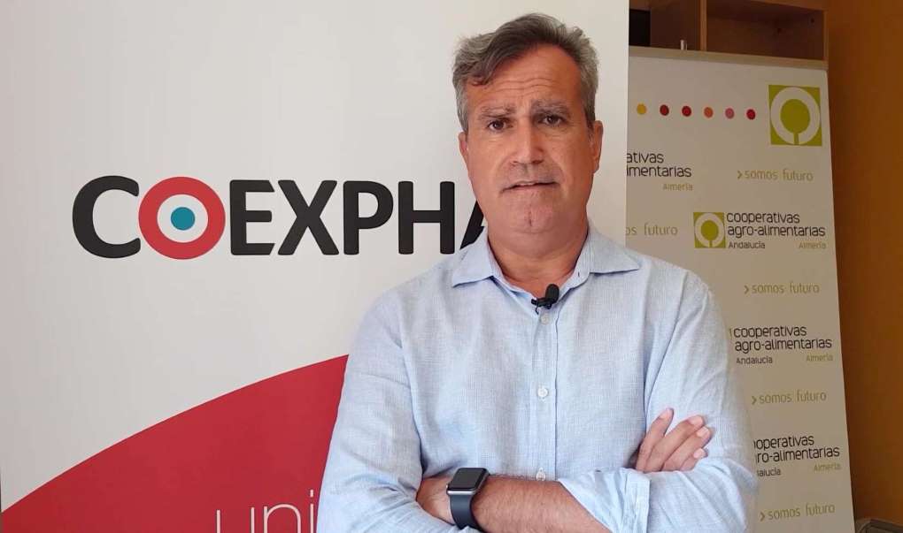 luis miguel fernández