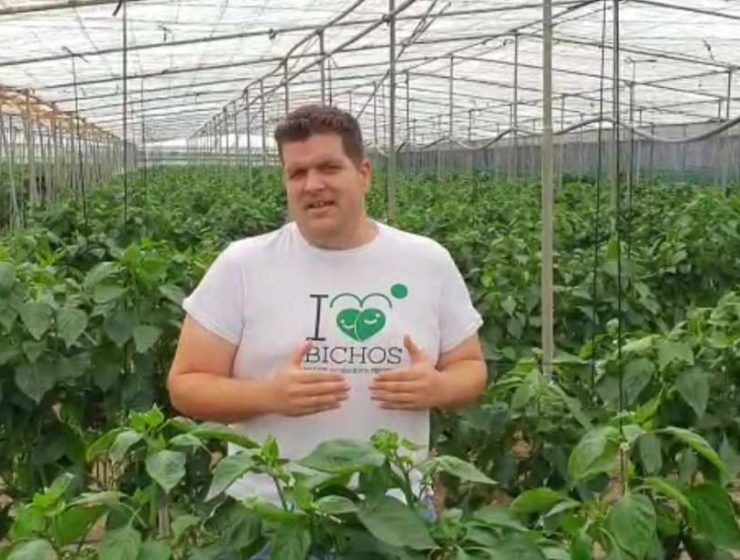 video biobest