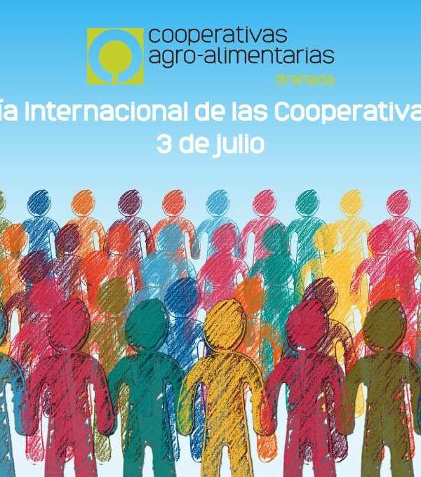 DiaCooperativas