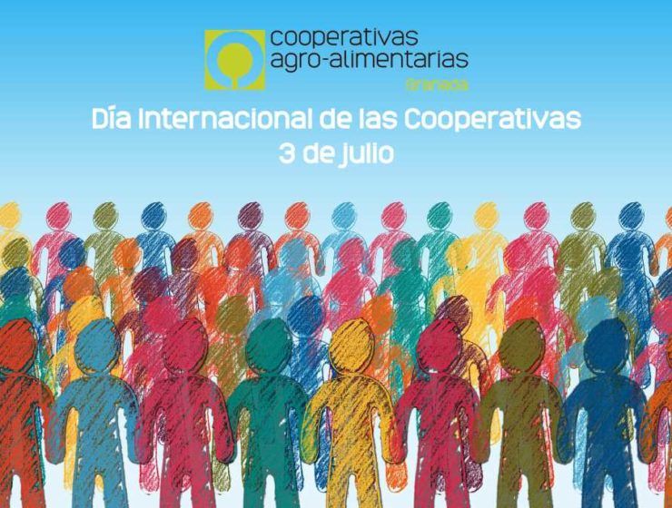 DiaCooperativas