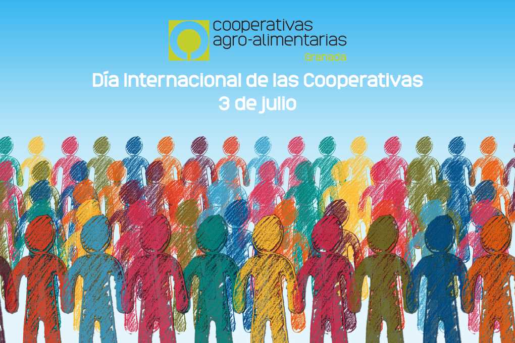 DiaCooperativas
