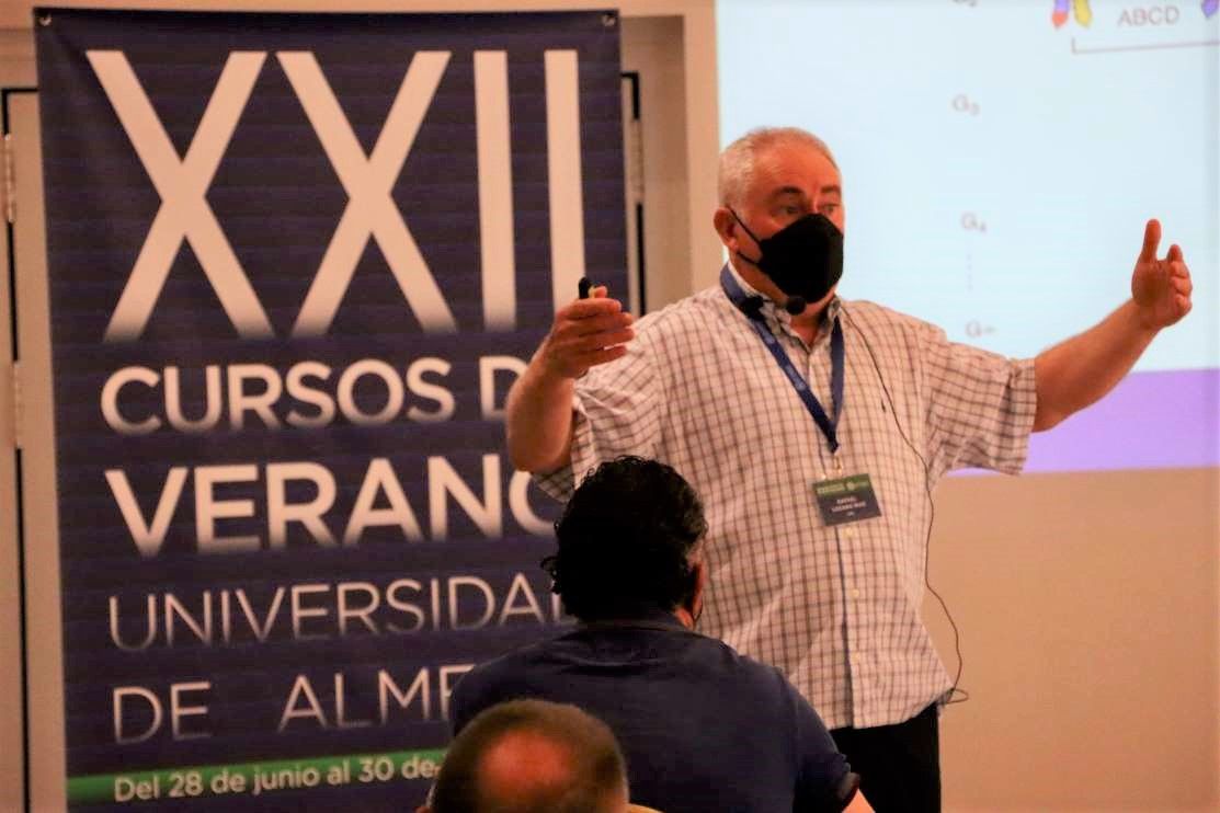 curso de verano ual