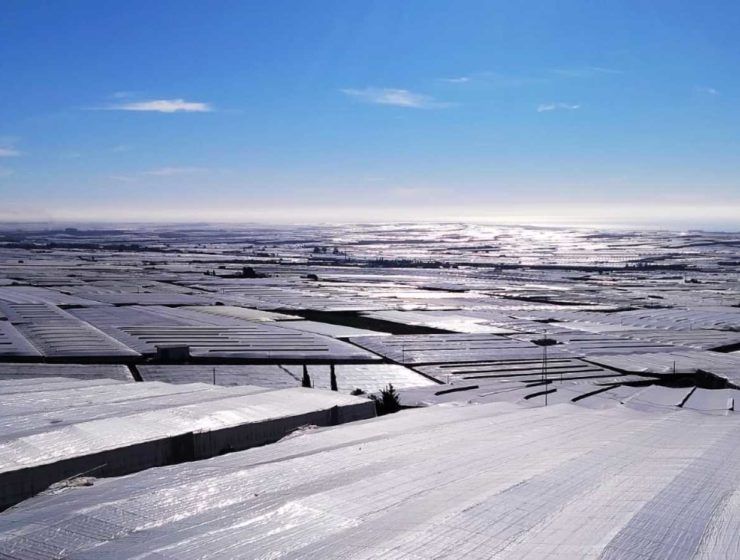 Invernaderos