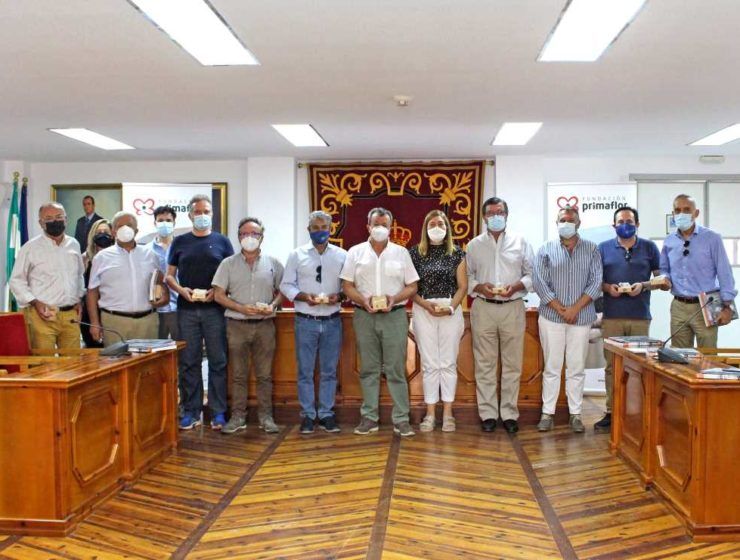 PULPI Ayuntamiento, UAL Primaflor II