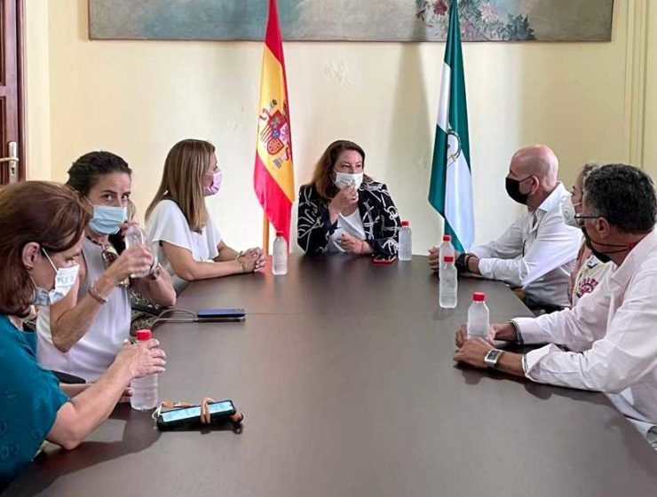 Reunión CASI consejera