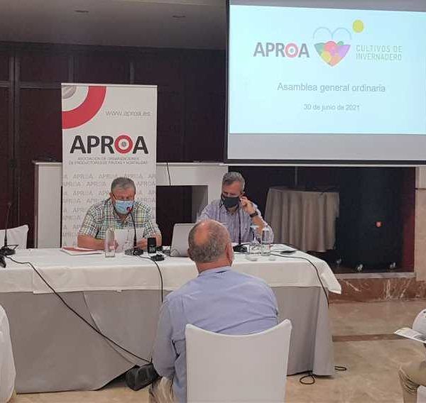 asamblea aproa
