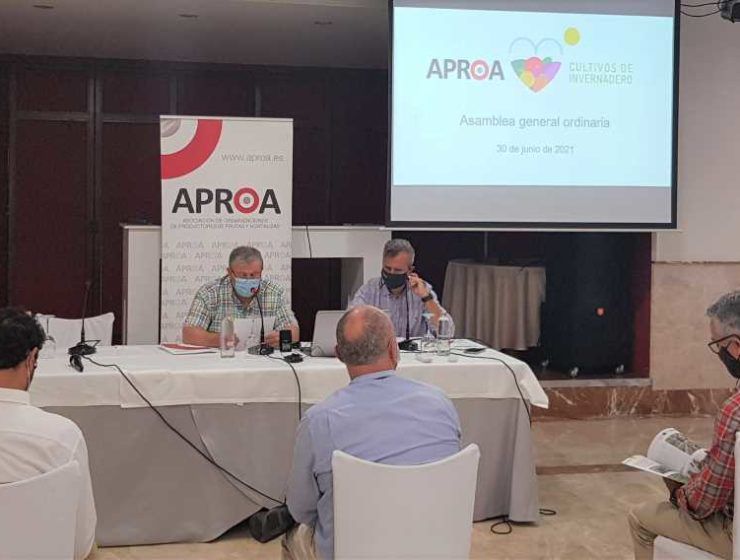 asamblea aproa