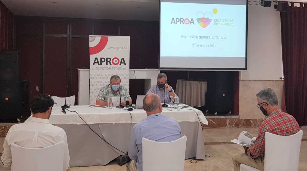 asamblea aproa
