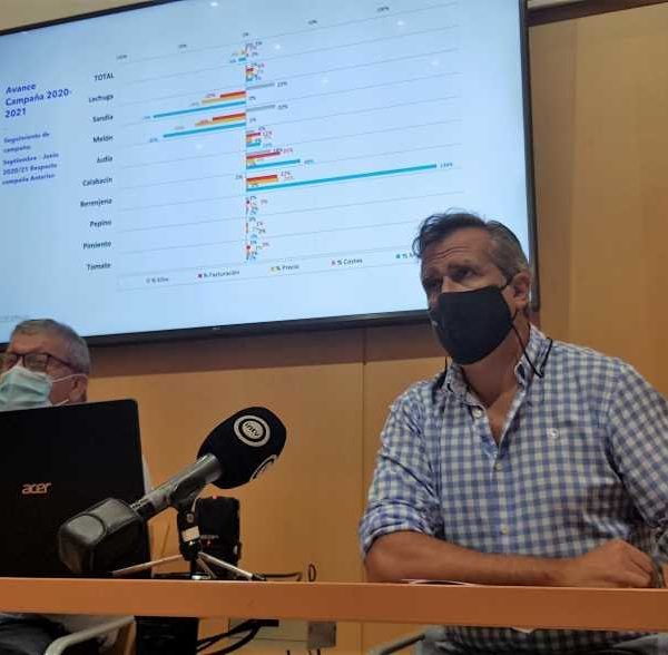 avance campaña