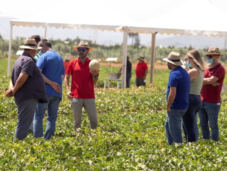basf demostración melón