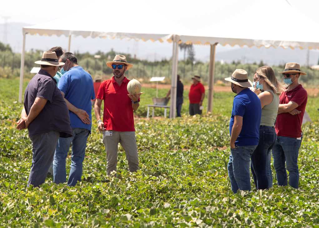 basf demostración melón