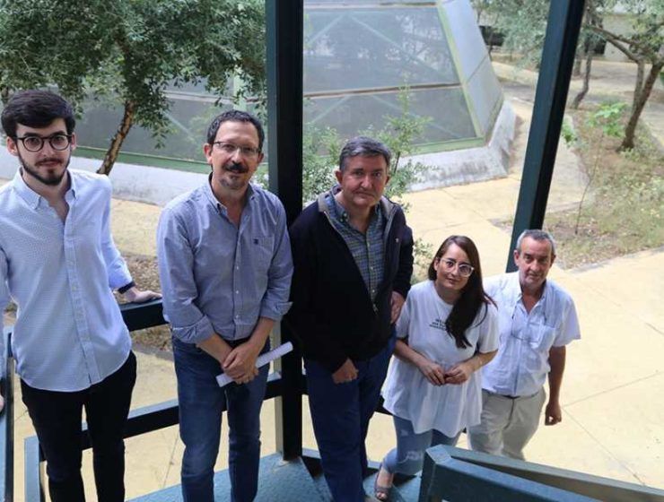 investiga fertiliza