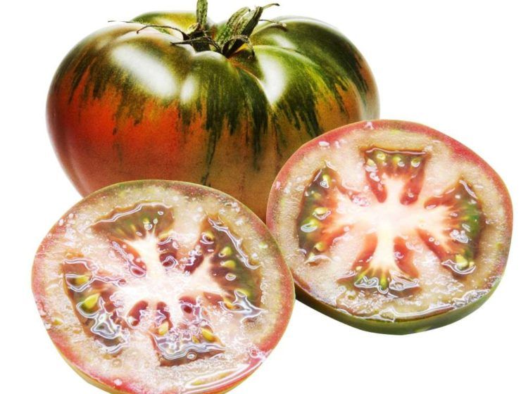 tomate raf