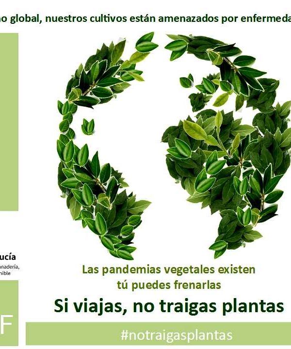 Campaña No Traigas Plantas