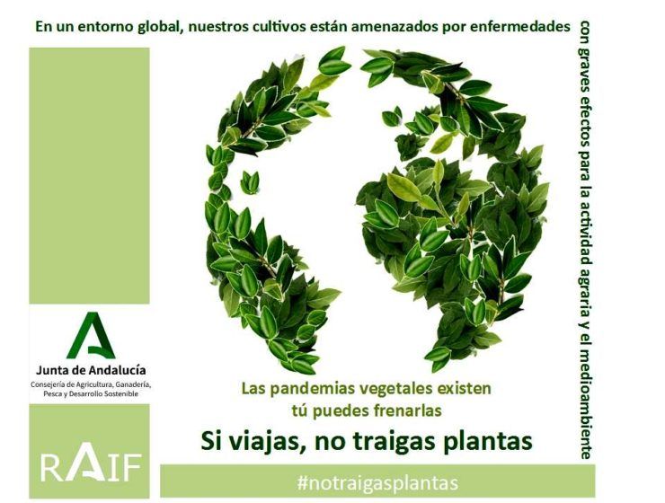 Campaña No Traigas Plantas