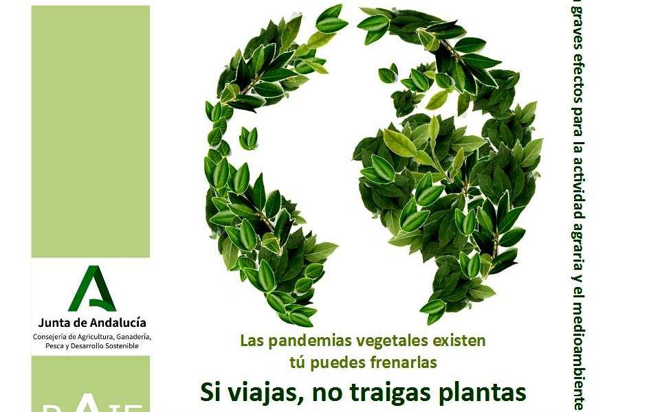 Campaña No Traigas Plantas