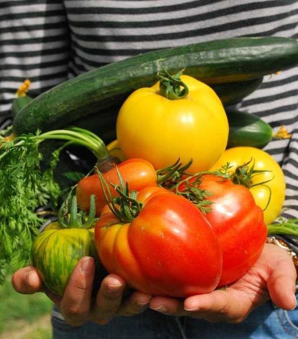 consumo vegetales