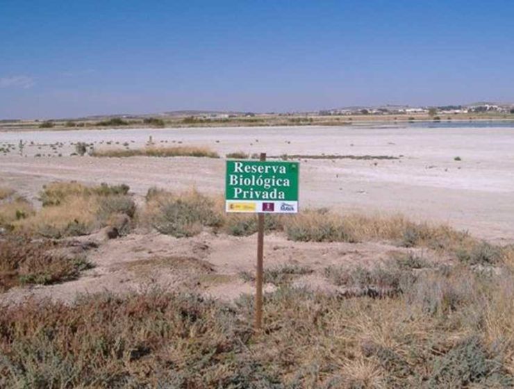 custodia territorio
