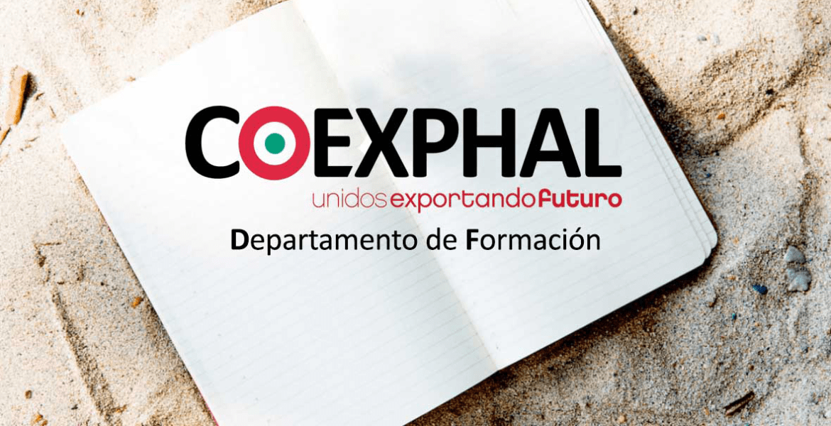 Curso de Formación