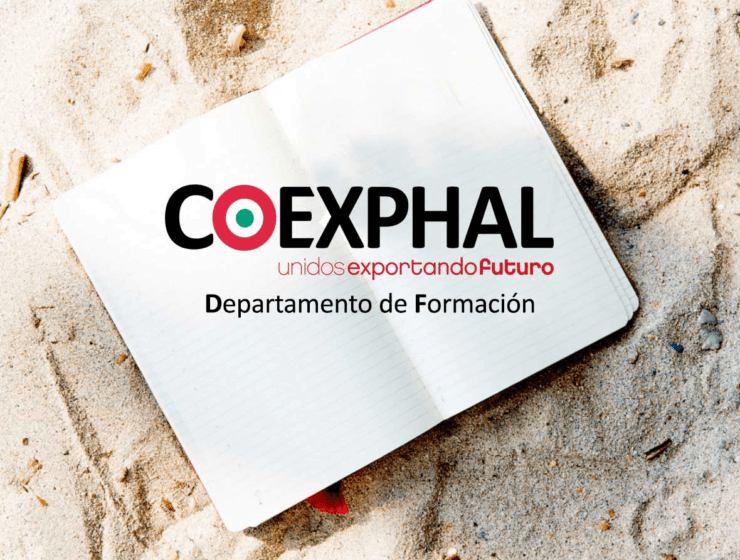 Curso de Formación