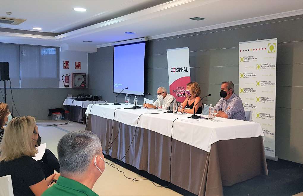 JORNADA INFORMATIVA CONVENIO MANIPULADO ok